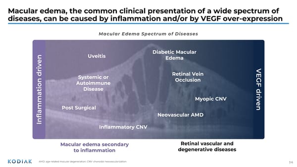 Jefferies Global Healthcare Conference - Page 35