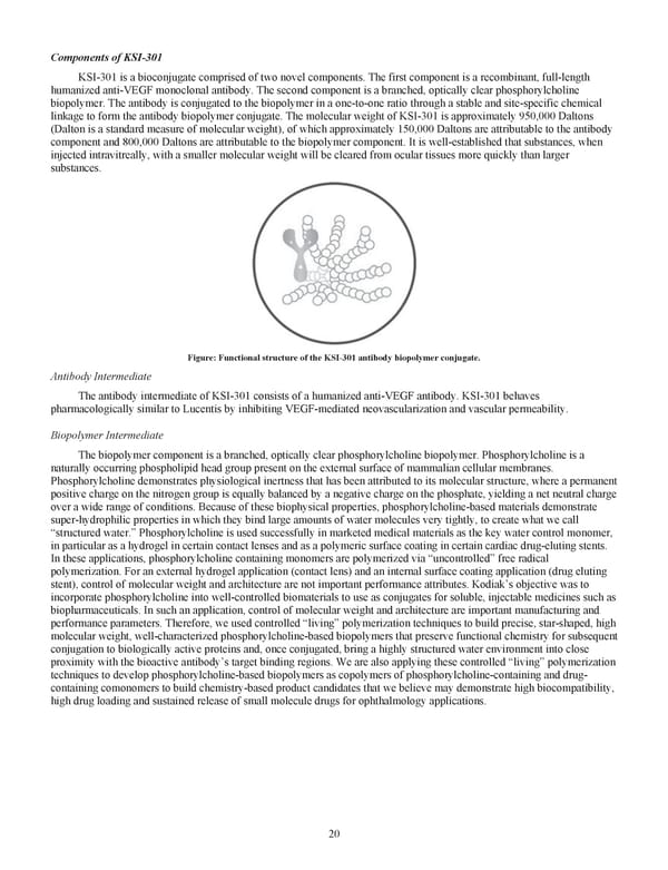 Kodiak 2018 Annual Report - Page 32
