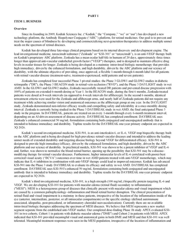 Kodiak Vision Sciences: Annual Report 2025 - Page 13
