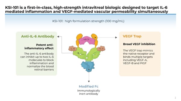 APEX Study Phase 1b Results on KSI-101 for Macular Edema - Page 2