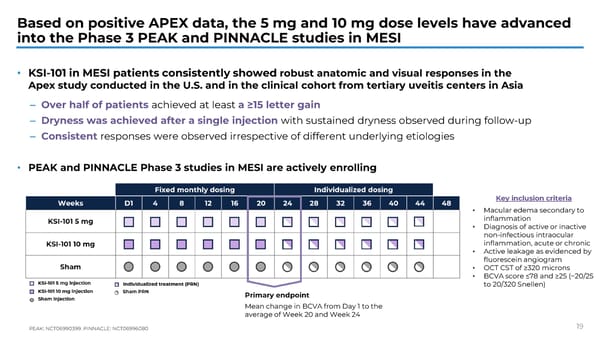 APEX Study Phase 1b Results on KSI-101 for Macular Edema - Page 19