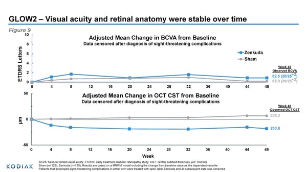 Phase 3 Study Outcomes in Diabetic Retinopathy - Page 12