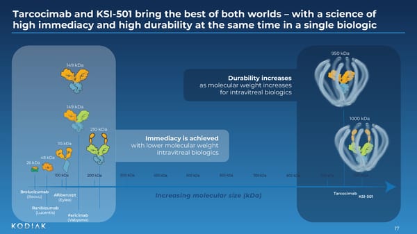 Presentation at Jefferies Global Healthcare Conference  - Page 17