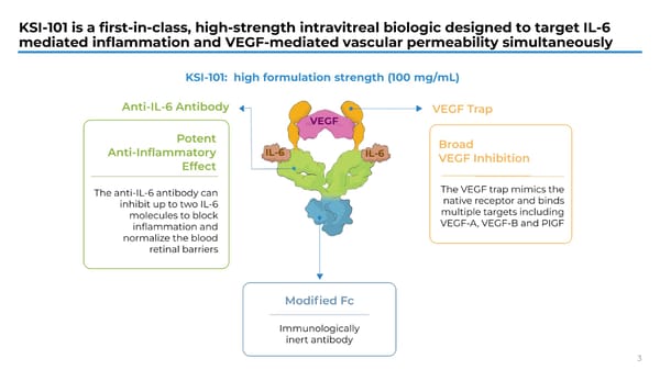 The Retina Society 58th Annual Scientific Meeting - Page 4