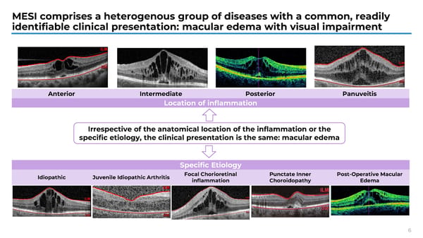 The Retina Society 58th Annual Scientific Meeting - Page 7