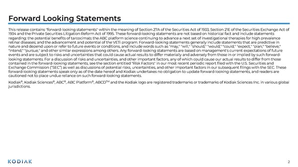 Unmet Needs in Retinal Disease Therapeutics - Page 2
