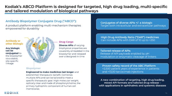 Unmet Needs in Retinal Disease Therapeutics - Page 14