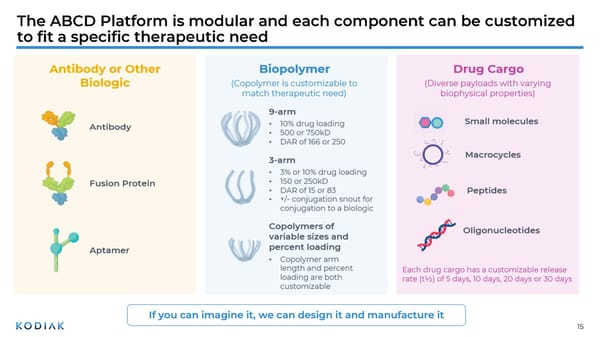 Unmet Needs in Retinal Disease Therapeutics - Page 15