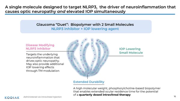 Unmet Needs in Retinal Disease Therapeutics - Page 16