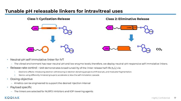 Unmet Needs in Retinal Disease Therapeutics - Page 17