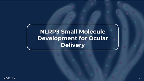 Unmet Needs in Retinal Disease Therapeutics - Page 18