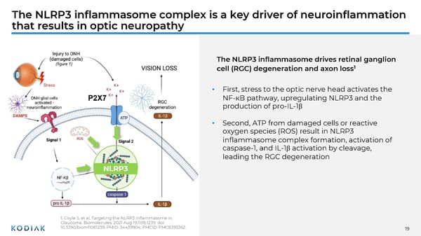 Unmet Needs in Retinal Disease Therapeutics - Page 19