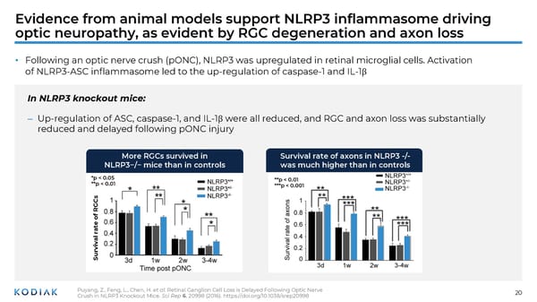 Unmet Needs in Retinal Disease Therapeutics - Page 20