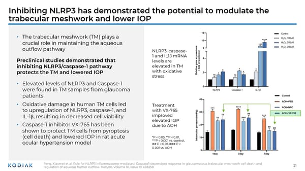 Unmet Needs in Retinal Disease Therapeutics - Page 21
