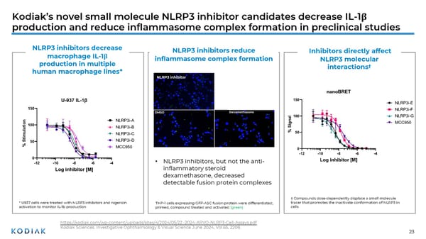 Unmet Needs in Retinal Disease Therapeutics - Page 23