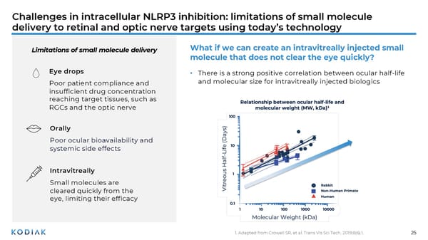 Unmet Needs in Retinal Disease Therapeutics - Page 25