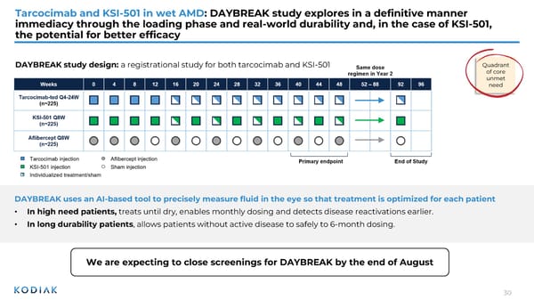 Investor R&D Day Presentation - Page 29
