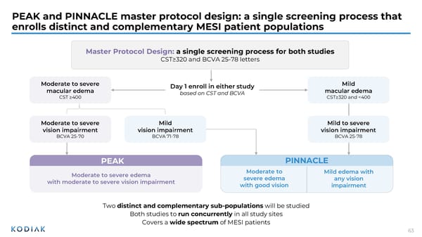 Interactive Corporate Presentation June 2026 - Page 62